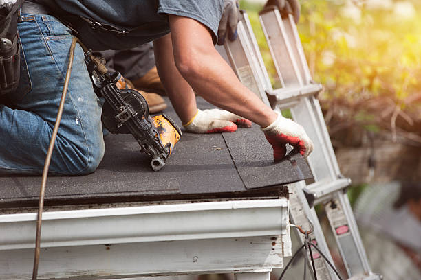 Best Residential Roofing Contractor  in Ray City, GA